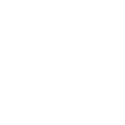 LFI India